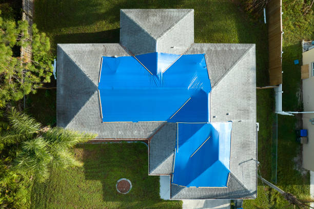 Best Commercial Roofing Services  in Holt, MI
