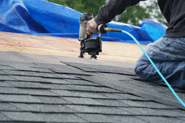 Best Roof Coating and Sealing  in Holt, MI