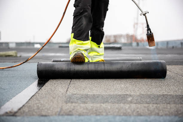 Best Skylight Installation and Repair  in Holt, MI