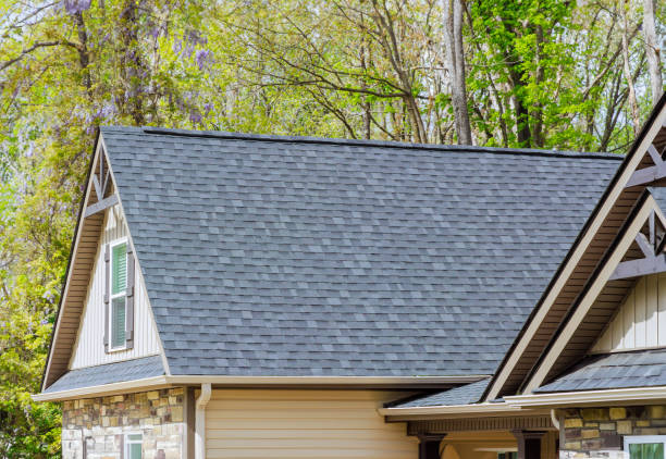 Best Hot Roofs  in Holt, MI