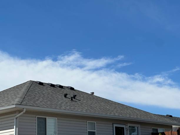 Best Roof Moss and Algae Removal  in Holt, MI