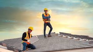 Best Roof Moss and Algae Removal  in Holt, MI